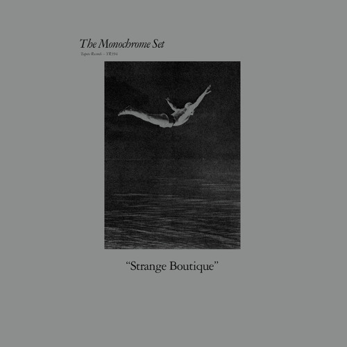 The Monochrome Set (I Presume)