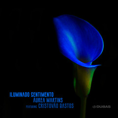 Iluminado Sentimento (feat. Cristovão Bastos)
