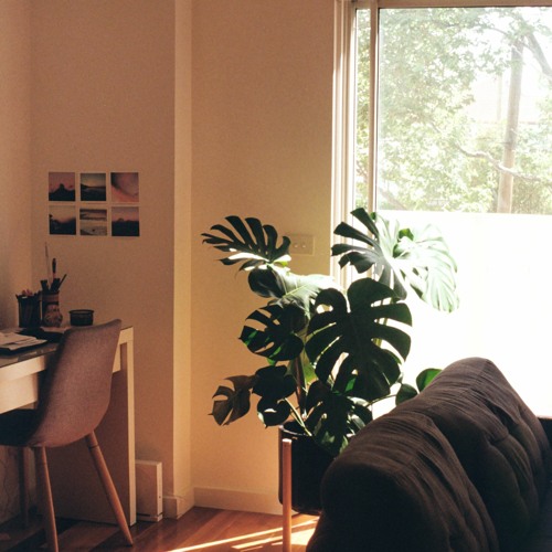 Sunshine From My Window