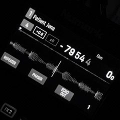 Patient Jena (Ethno/Elektro/Downtempo/Folktronika - Tracklist in Description)