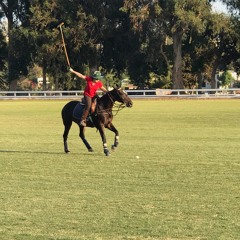 The Intensity of Polo