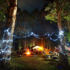 Love the shit- Lexie x Tyler.wav