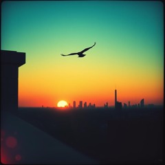 Skystride