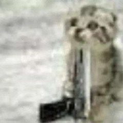 Everything went to shit