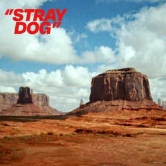 Stray Dog Original Soundtrack (2024)