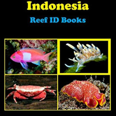 DOWNLOAD PDF 📤 Coral Reefs Indonesia: Reef ID Books by  A. S. Ryanskiy KINDLE PDF EB