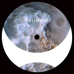 [PALINOIA011] Eric Cloutier - Perpetual Booty Grooves Vol.1