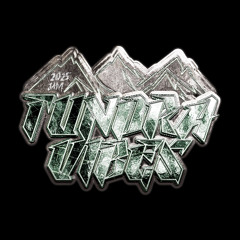 TUNDRA VIBEZ 2025 BREAKING MIXTAPE