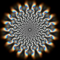 Dynamicali  - Night Circus