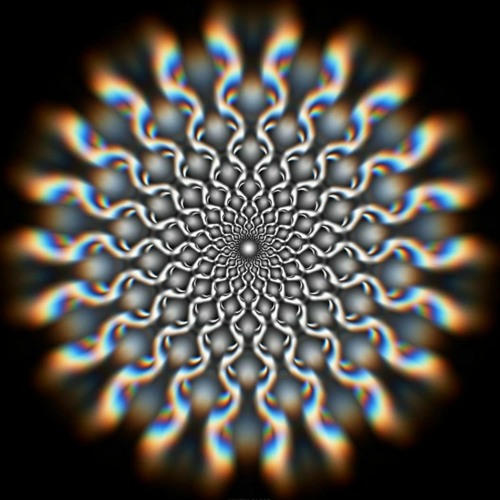 Dynamicali  - Night Circus