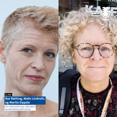 LL-634: Røthing og Lindroth om videreutdanning i seksualitet og seksualitetsundervisning