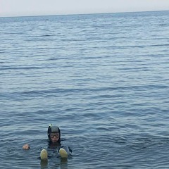 Sorciéres Aux Grimoires