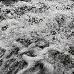 The Open Door Freestyle