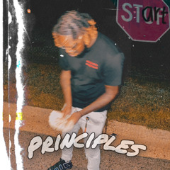 PRINCIPLES