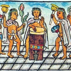 CINO - DOLO - Freestyle