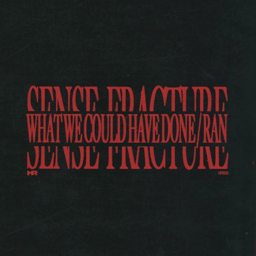 What We Could Have Done