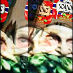 SCANDIC ПОСЛЕДСТВИЯ