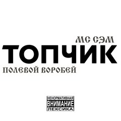 Топчик Микстейп