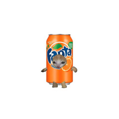 flat fanta - kotaro