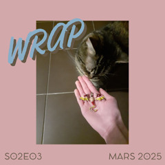 WRAP - S02E03 - avec du bien-être animal, un assassin royal, et une villa un peu spéciale