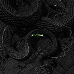 xantasy - slimin (prod. sewz)