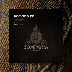 PREMIERE: Renzo Zong, J ugaz, HardDisk - Another Night (Original Mix) [Zompayra Records]