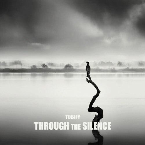Through The Silence