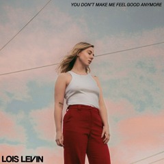 You Don't Make Me Feel Good Anymore - Lois Levin