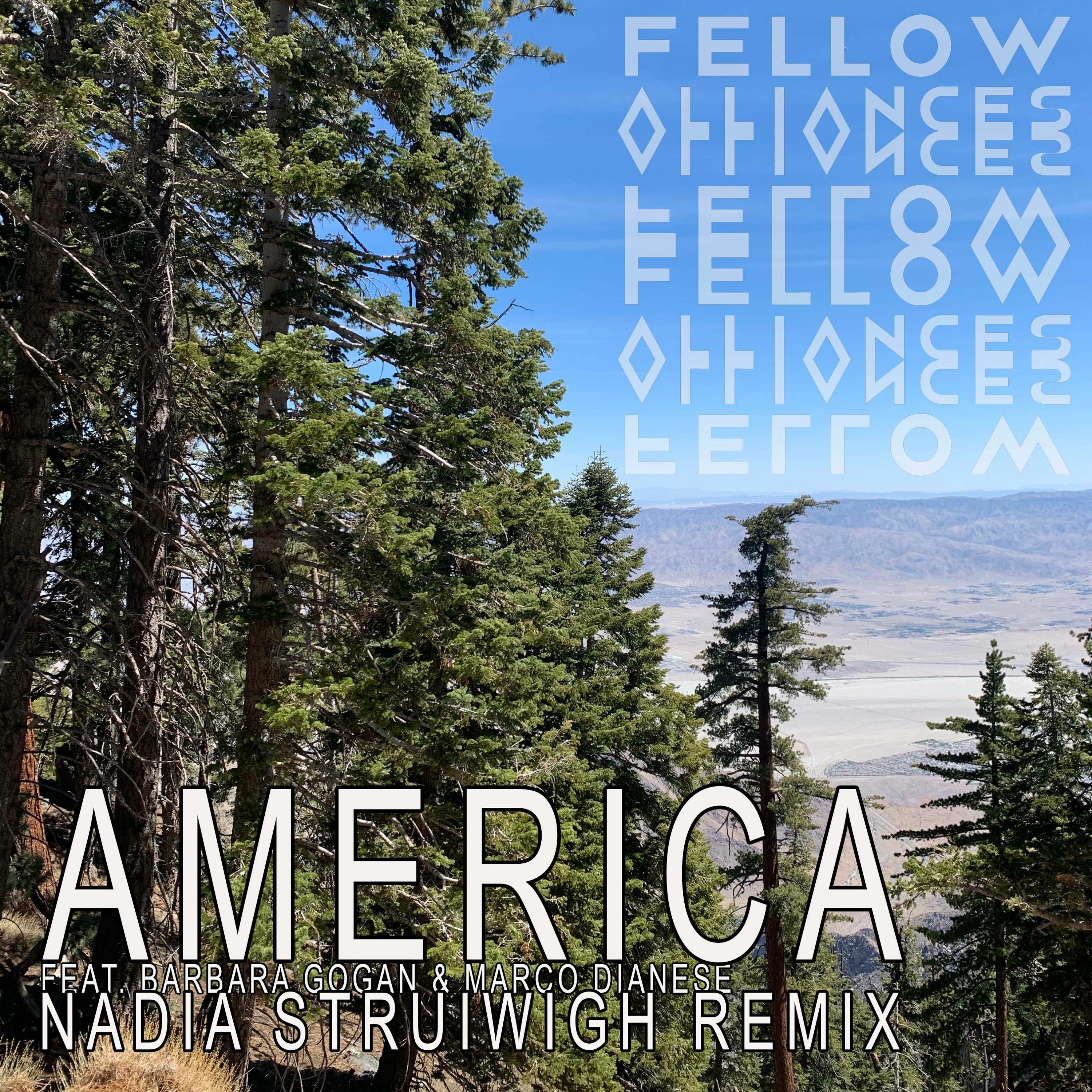 PREMIERE : Fellow Alliances feat. Barbara Gogan & Marco Dianese - America (Secret Lovers Records) episode artwork