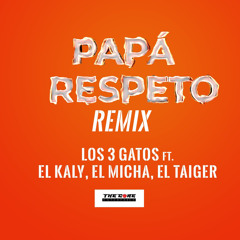 Papá Respeto Remix (feat. El Kaly, El Micha & El Taiger)