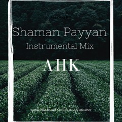 Shaman Payyan Instrumental Mix - AHK
