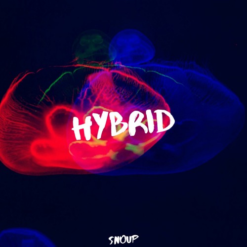 Hybrid