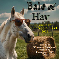 Bale of Hay