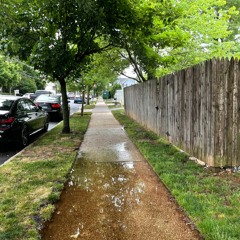 Heal Heal Heal (vent song)