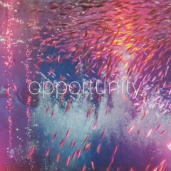 opportunity