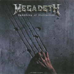 Symphony Of Destruction - Megadeth (Guitar Cover)