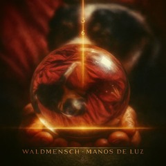 Manos de Luz (Patchamama)