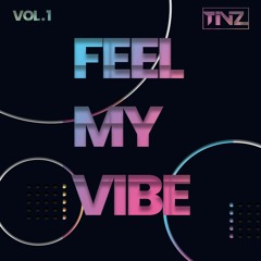 TINZ  |  FEEL MY VIBE MIXSET  | VOL. 1