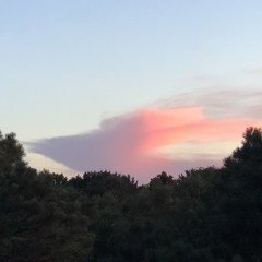 Jeep on Dead Horse Hill