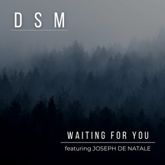 Waiting for You (feat. Joseph DeNatale)