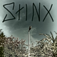 STINKAGE 5 - Sean Ruane