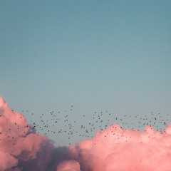 Need / Dear God  (prod. SXINT & Juvenescence)