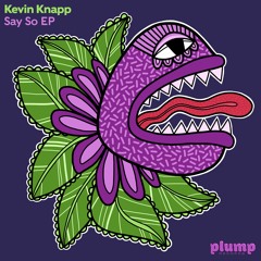 Premiere: Kevin Knapp - Pay Off [Plump Records]