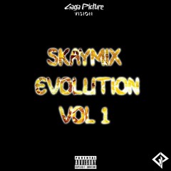 SKAYMIX EVOLUTION VOL 1 BY DJ SKAYLONE