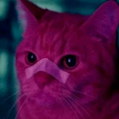 Stealing Steele Style3