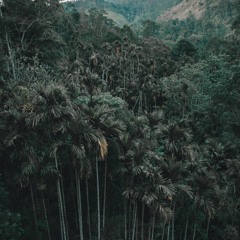Arbor Radio