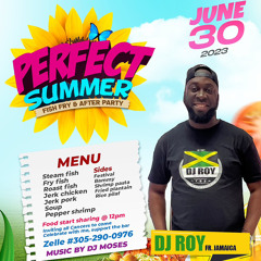 DJ ROY PERFECT SUMMER FISH FRY FL 30.6.23 LIVE AUDIO