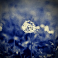 SYNTH TYPE BEAT | ¨NINEVEH¨ | JANUARY 2021 | DEUXMETH |