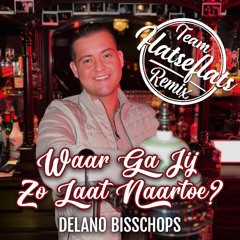 Delano Bisschops- Waar Ga Jij Zo Laat Naar Toe? (Team Hatseflats remix)