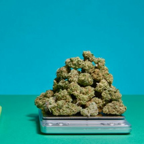 ☆  Grab A Zip ☆ lil baby style TRAP ISH! <3